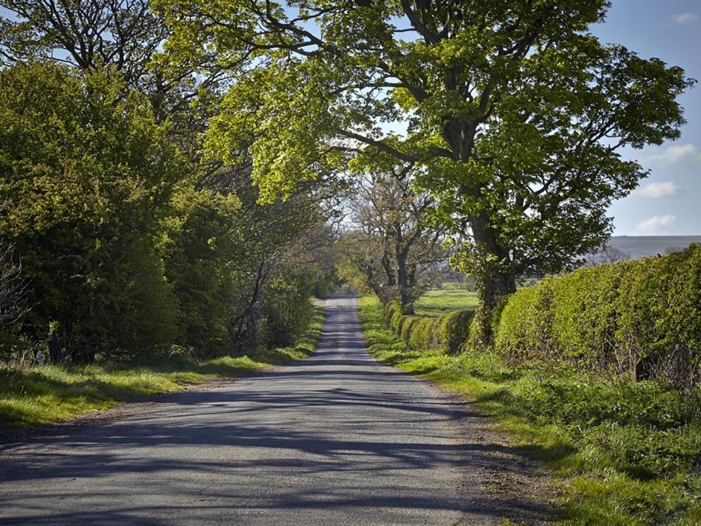 Lily Hill Farm Bed & Breakfast Barnard Castle Bagian luar foto
